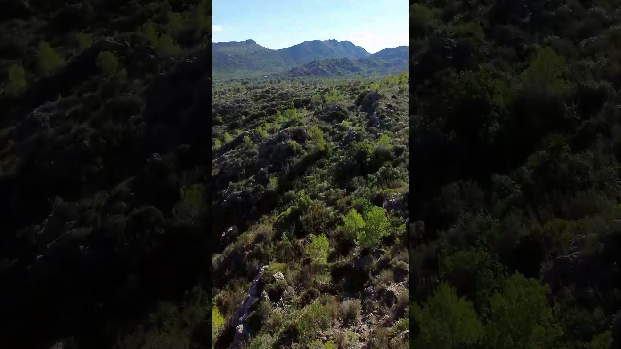 flying over Mallorca #djimini3 #drone #dji #mallorca #spain #baleares #mountains