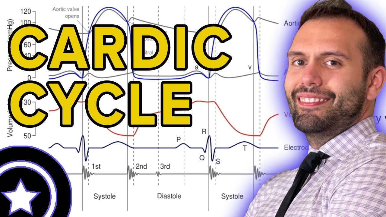 The Cardiac Cycle | HIGH-YIELD CARDIOLOGY | USMLE STEP 1