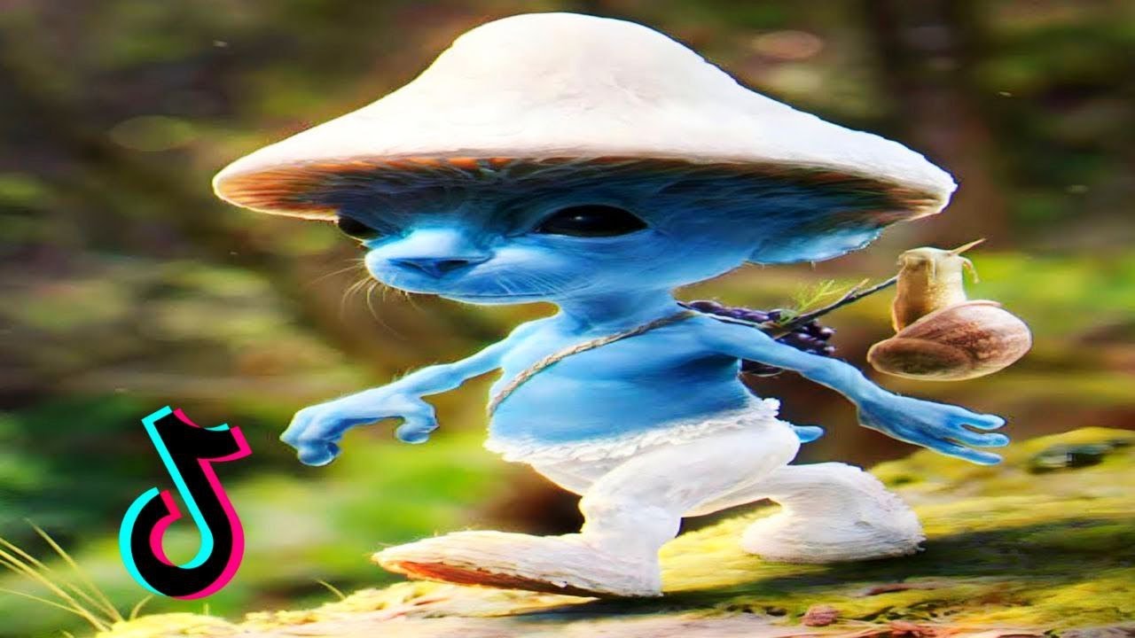 Smurf Cat Meme TikTok Compilation | BAZAAR CHANNEL