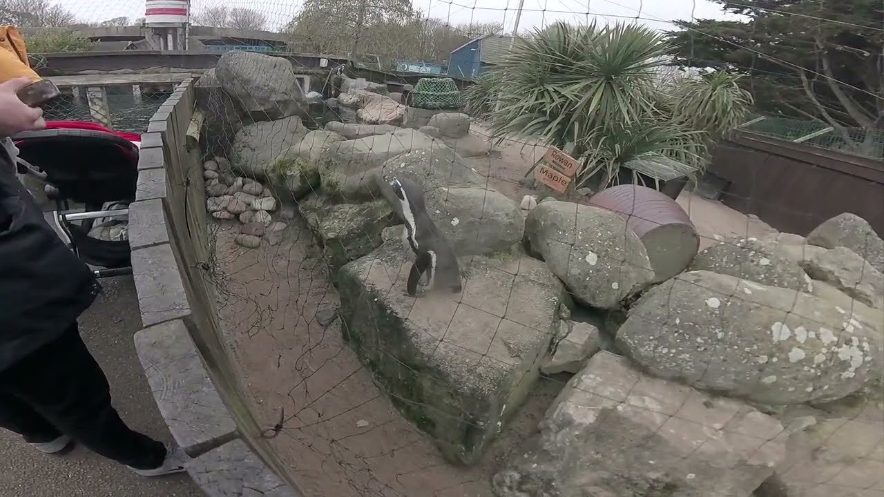 Foggy Day At The Sealife Centre In Weymouth, March 2026