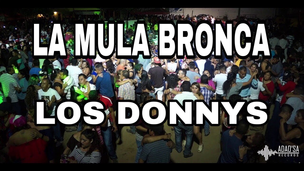 Los Donnys La Mula Bronca