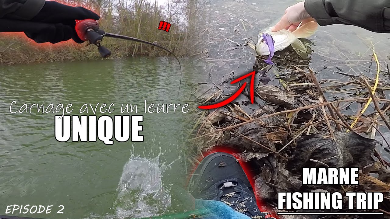 J'ai réussi à faire la Différence avec ce Leurre ! [ Marne Fishing Trip ]
