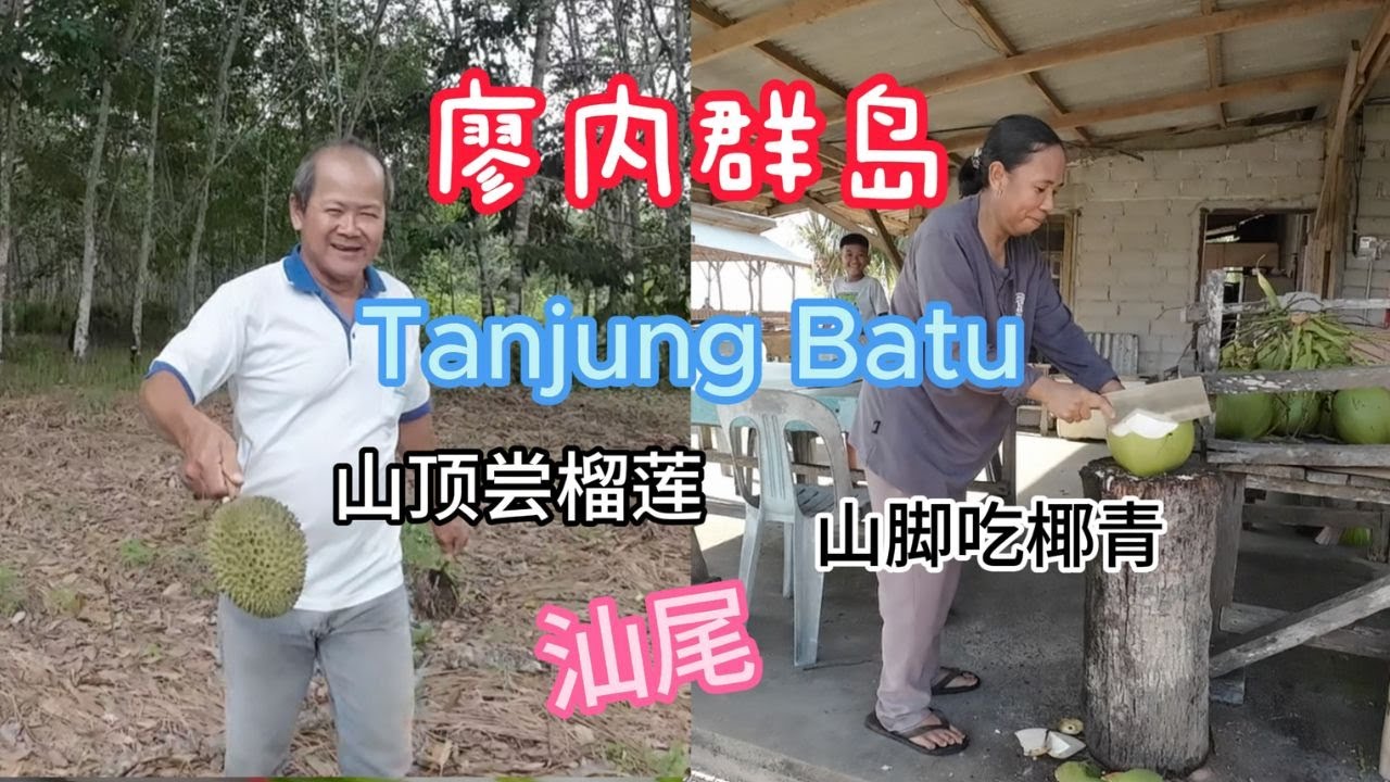 第四站(B)/ #廖内群岛 // TANJUNG BATU (汕尾) // 海边吃椰青 / 山顶吃榴莲 / #印尼 / #riauarchipelago