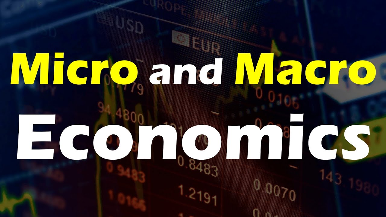 Micro and Macro Economics Explained - Concept and Key Differences
