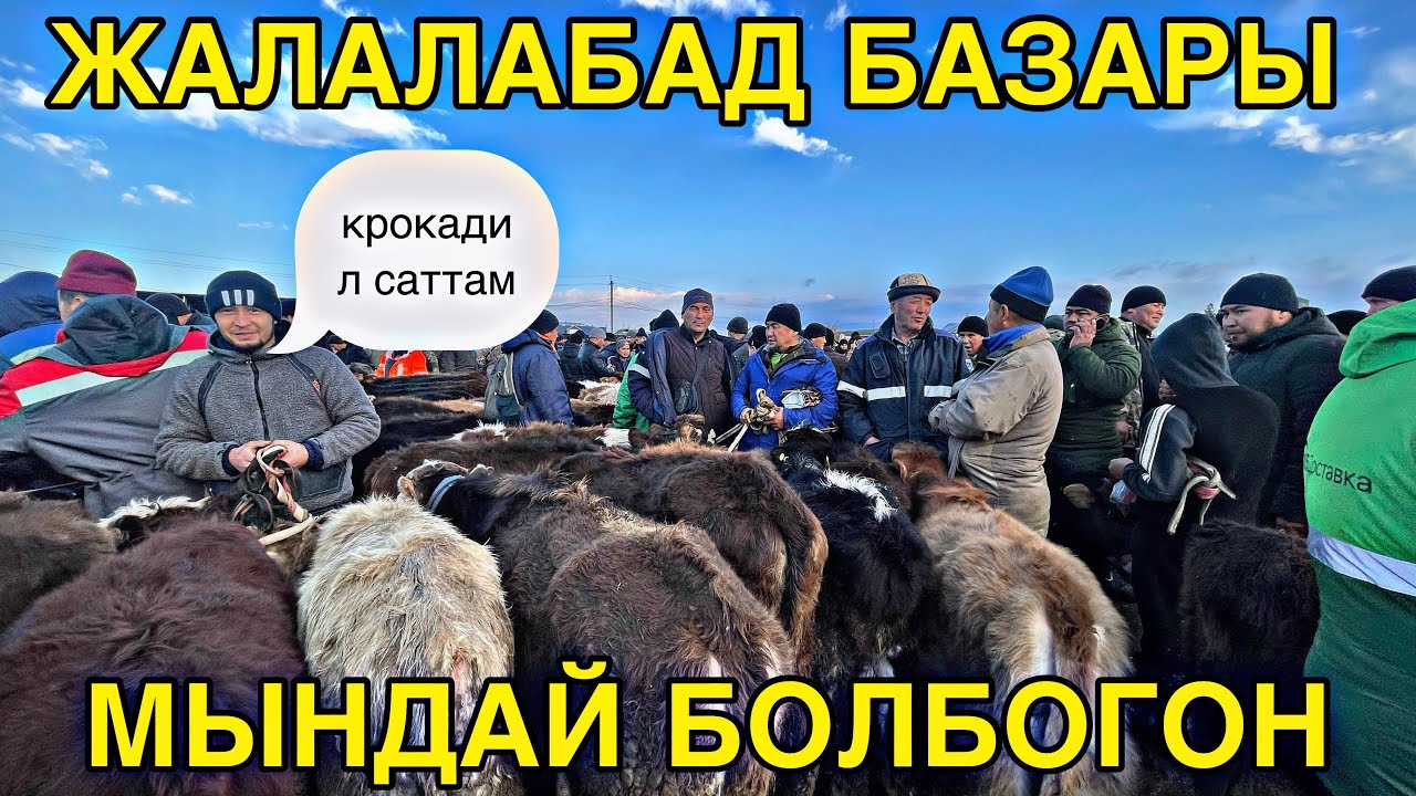 Бүгүн базар кайнады Жалал абад пай пай #жалалабадмалбазары #кыргызстан #атбазар 