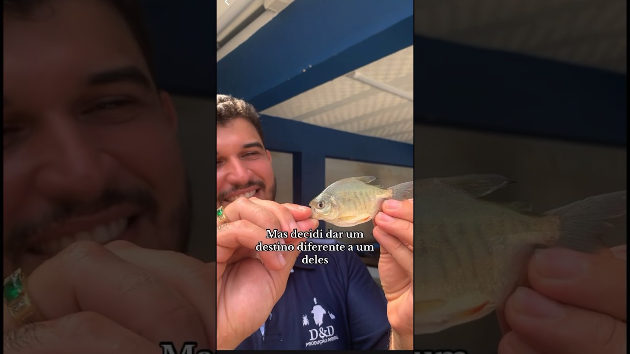 O Destino desse tambacu foi diferente     