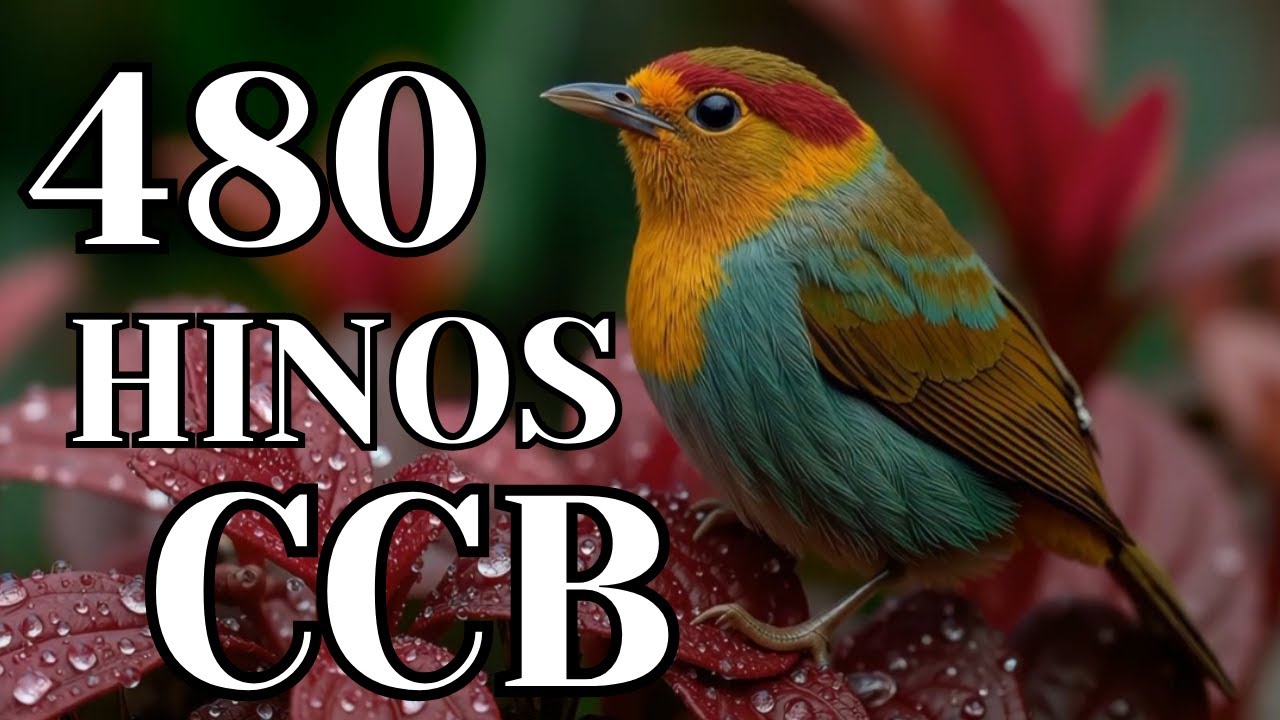 480 HINOS CANTADOS CCB-  30/01/2026  HINÁRIO 5 - CCB 1,2,3,4,5,6,7,8,9,10,11,12,13,14,15,16,17,18...