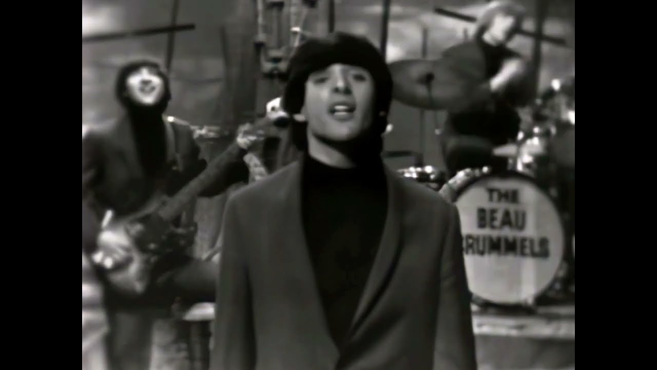 NEW * Laugh Laugh - The Beau Brummels {Stereo} 1964
