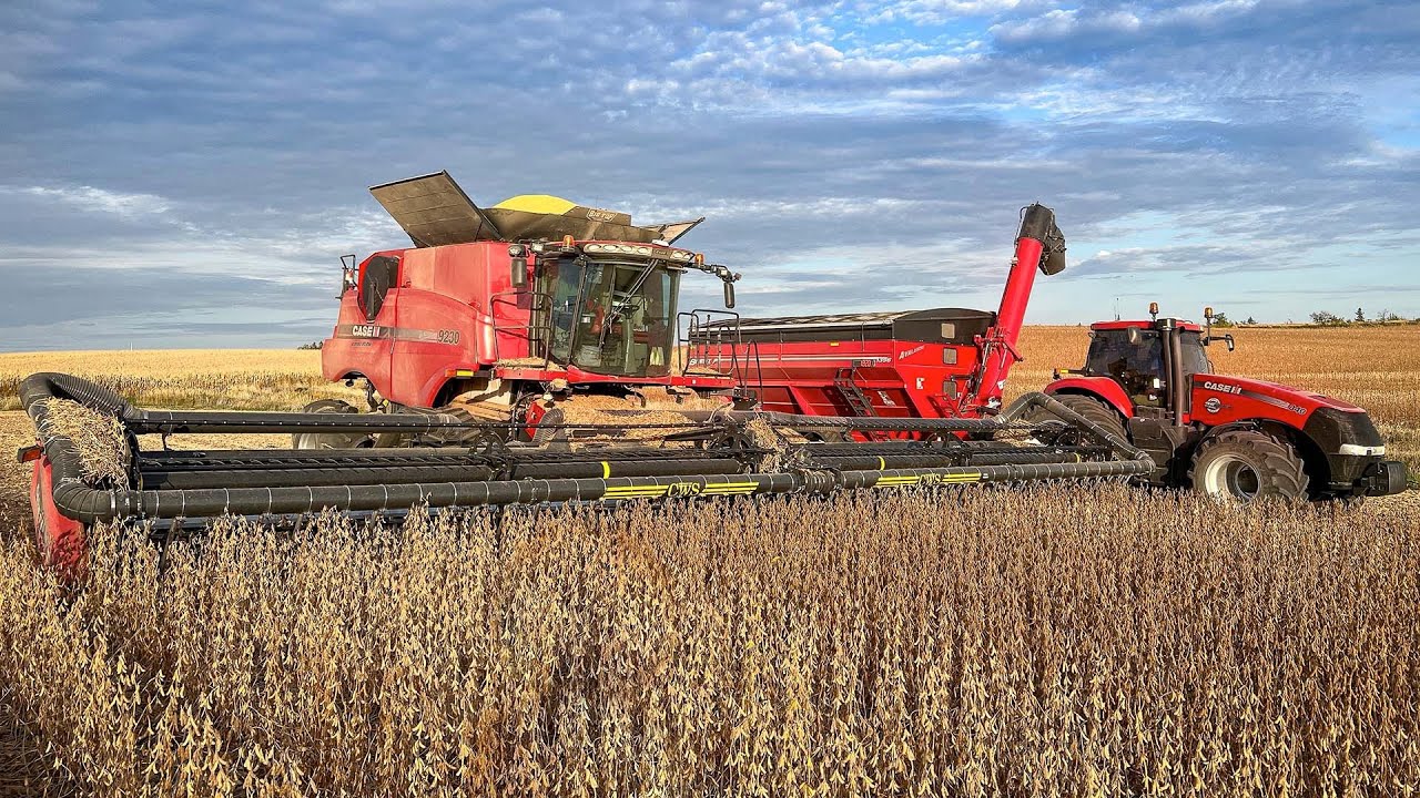 Harvesting Soybeans At A Record Pace
