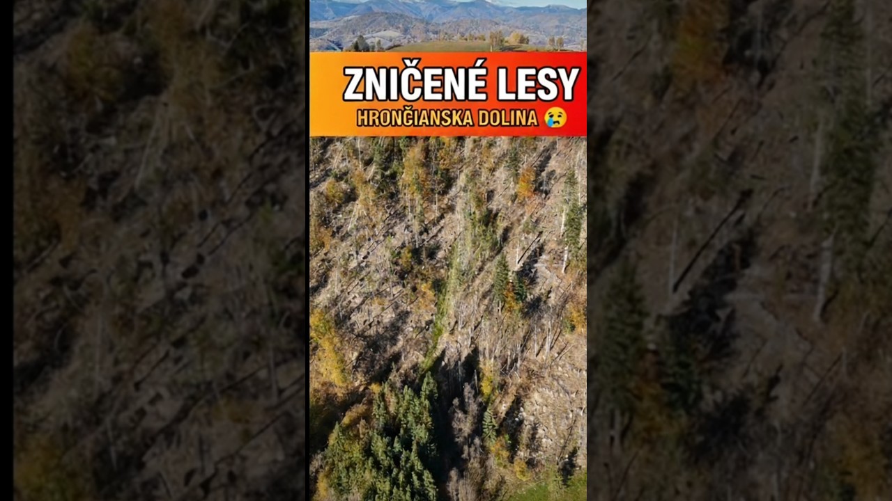 👉 Zničen&eacute; lesy Hrončianskej doliny 😢 | Destroyed Forests &ndash; Hrončianska Valley Drone #shorts