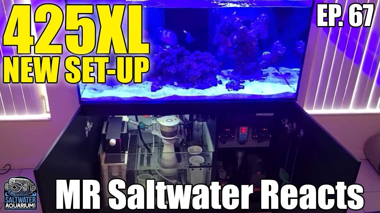 Red Sea 425XL New Set-Up Saltwater Aquarium - Mr. Saltwater Reacts