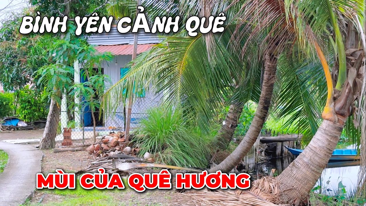 Mùi Vị Quê Hương | Cảnh Yên Bình Đường Quê Đầu Năm Mới.