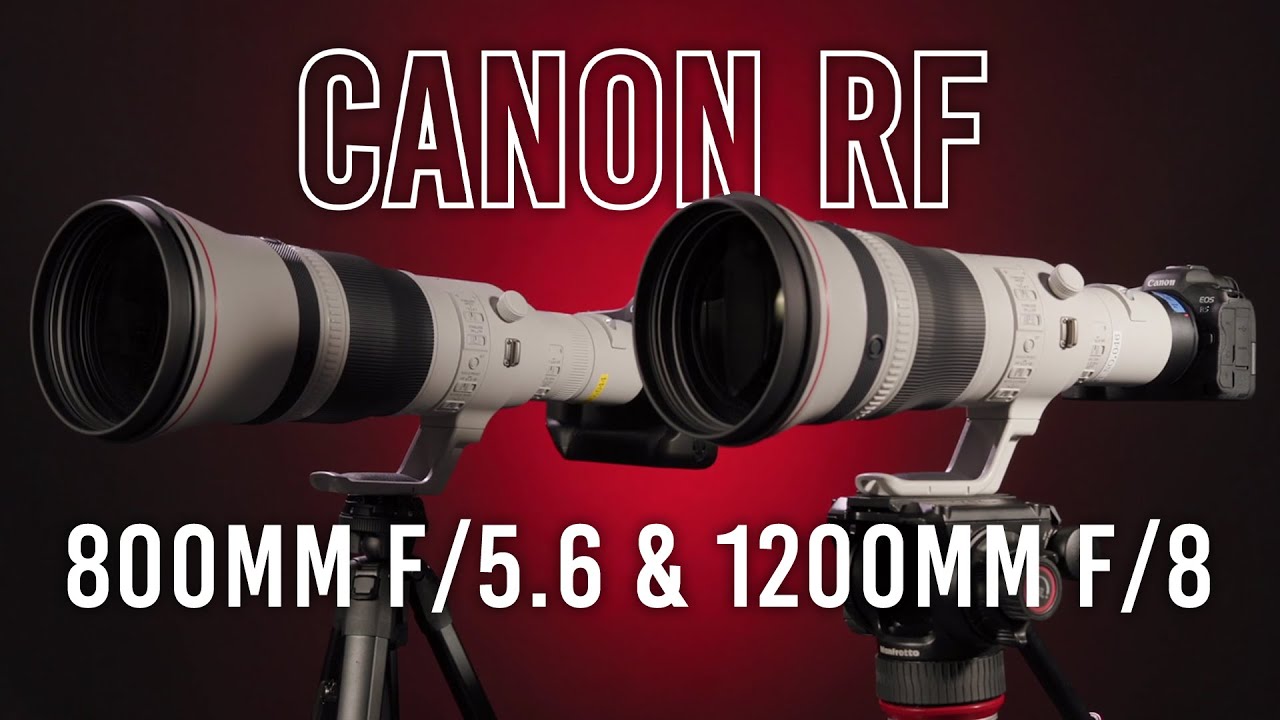 Canon RF 800mm f/5.6 & 1200mm f/8: NEW Super Telephoto Lenses!