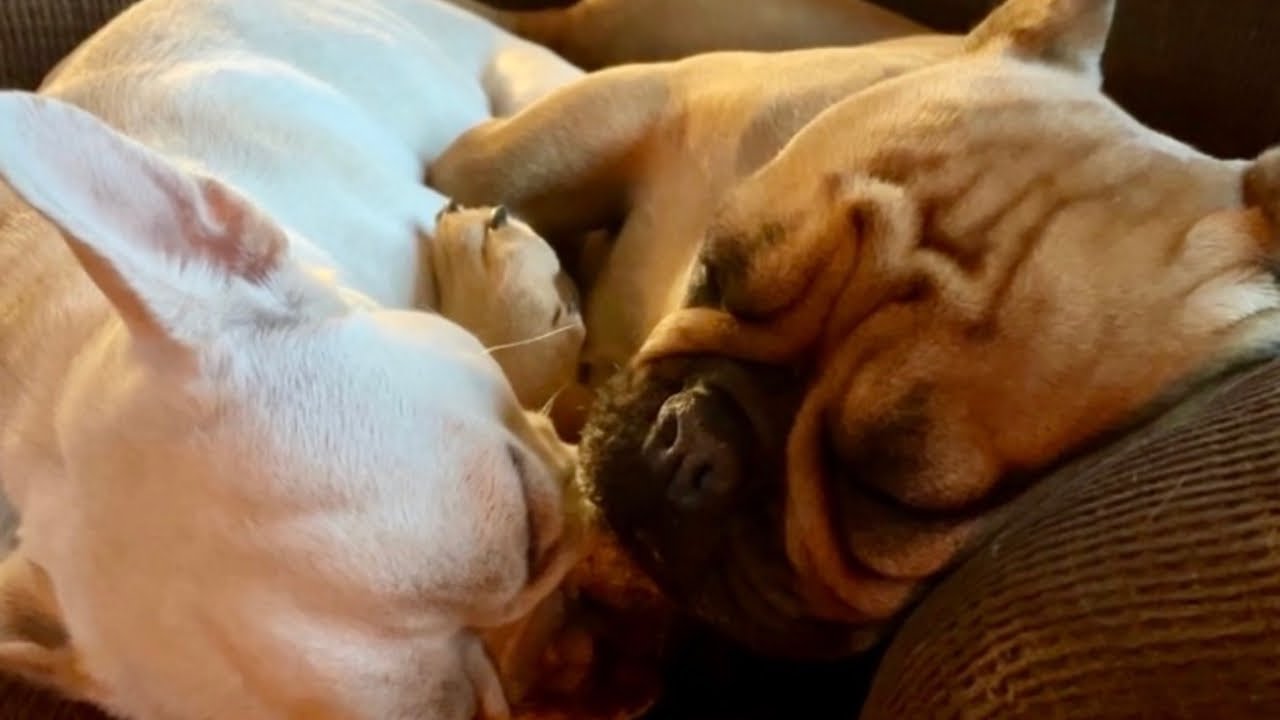 Slow Winter Days on Our Vermont Farm
