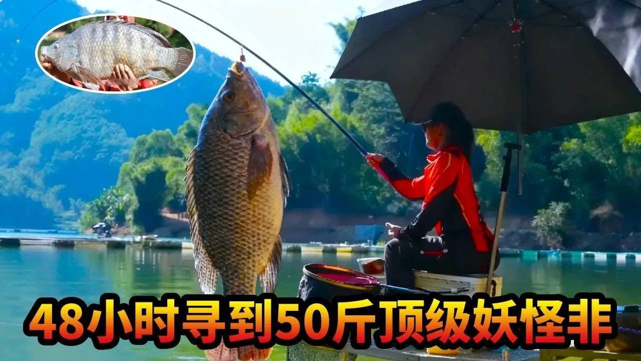 这次挑战太野了，熬战48小时总算寻到50斤顶级妖怪非，与它智斗勇长达数小时！#钓鱼 #游钓黑坑疯子 #大魚