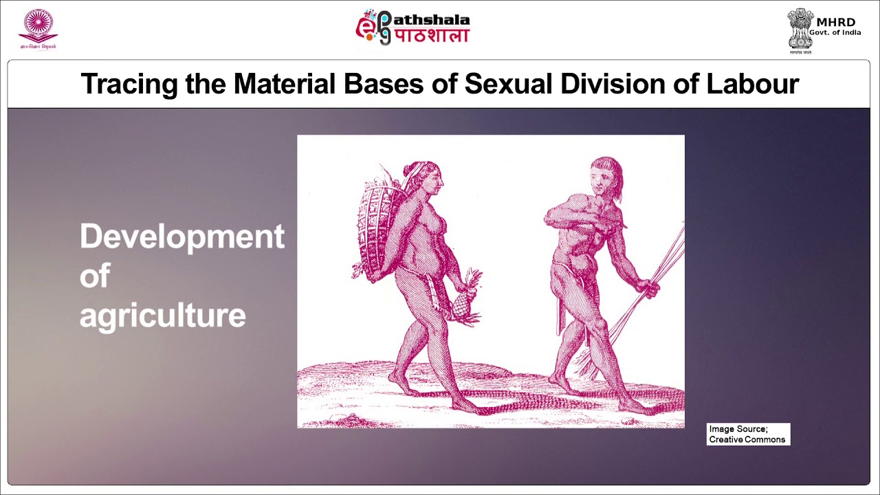 Sexual Division of Labour