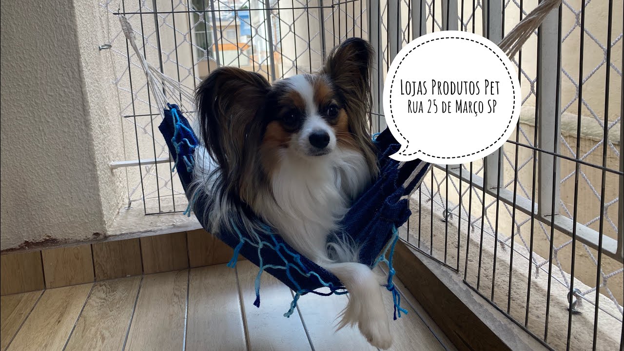 Lojas Produtos Pet Rua 25 de Mar&ccedil;o S&atilde;o Paulo