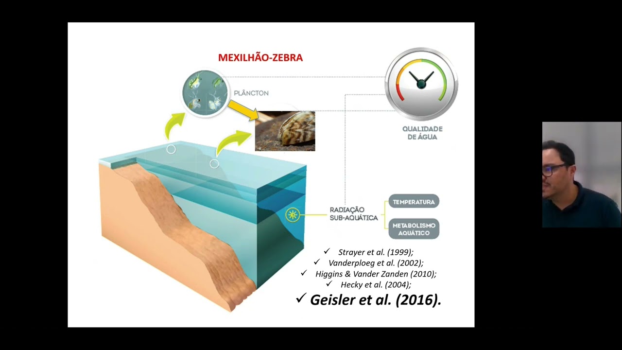 Estudo da clarificação das águas em reservatórios invadidos pelo mexilhão-dourado