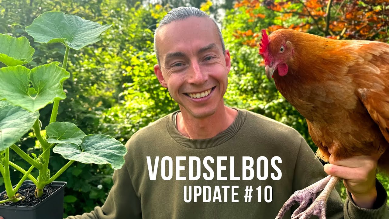 Voedselbos #10 | Een rondje voedselbos, kippen die pompoenen planten, brandnetels en meer.