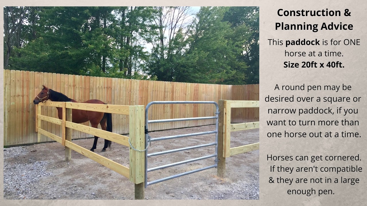 Our  All Weather Horse Paddock