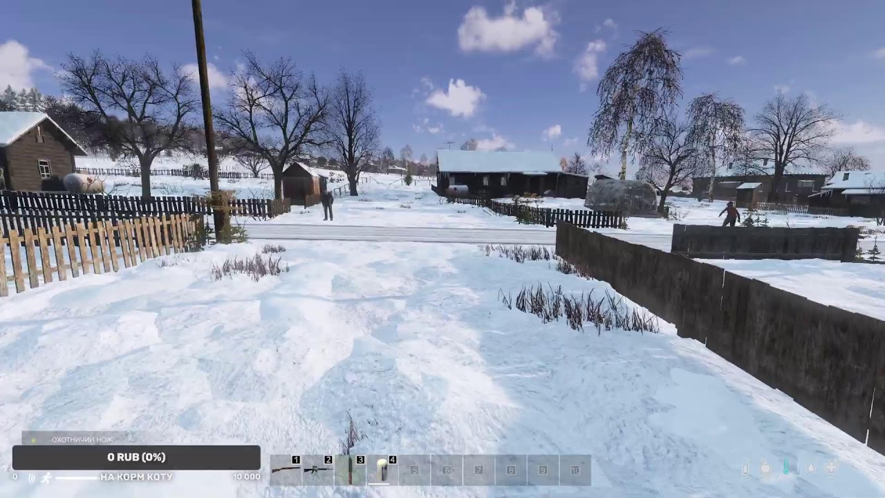 Dayz Зимняя Чернорусь 1PP