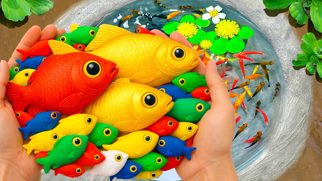 Catch Ornamental Fish in Giant Colorful Eggs, Tropical Fish, Galaxy Guppy, Purple Tiger Fish, Loach