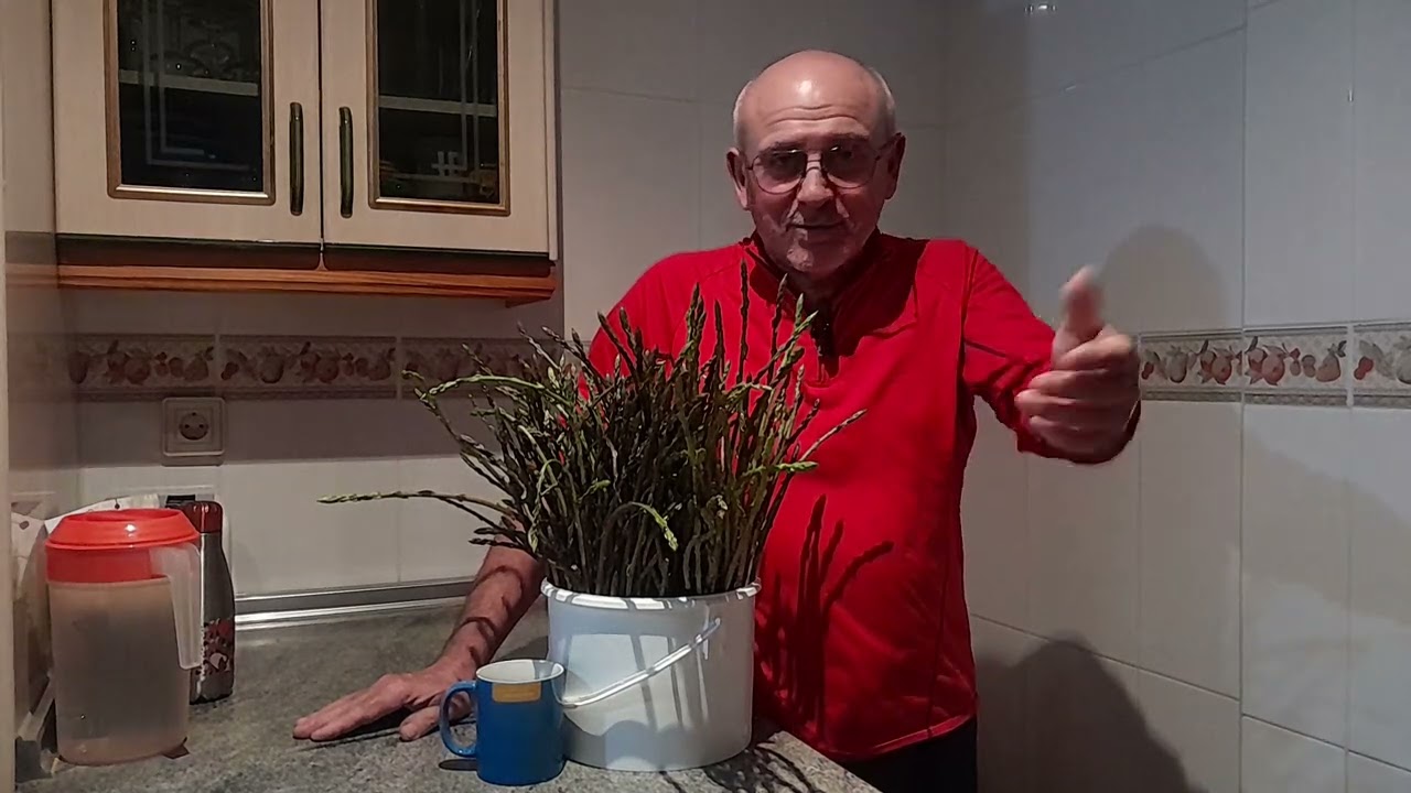 Homenaje al espárrago. 28-2-2026