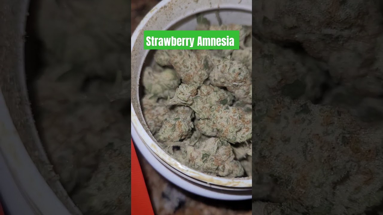 Strawberry Amnesia Sativa #420 #amnesia #flower