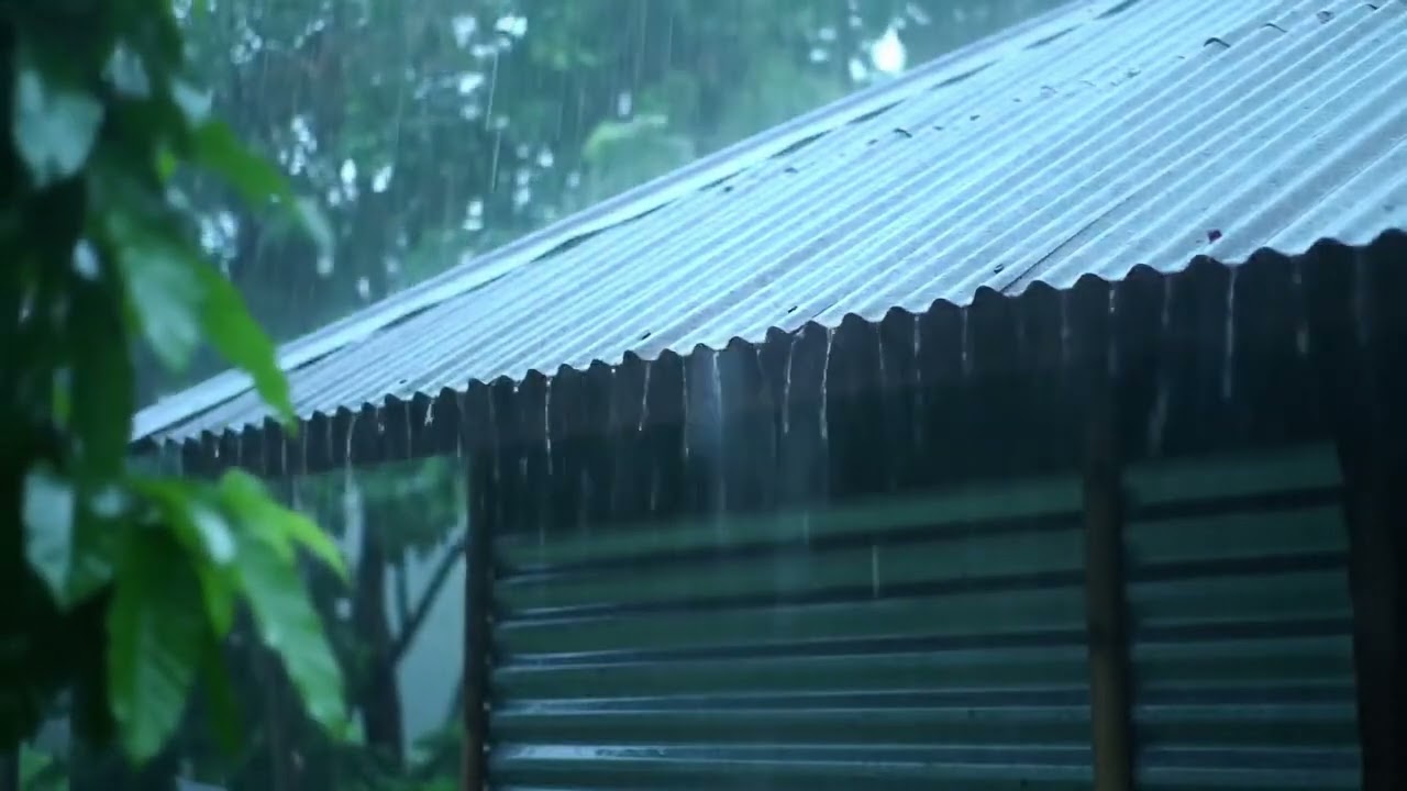 Lull You into Deep Sleep 😴 with Torrential Rainstorm & Powerful Thunder on Tin Roof of Farmhouse