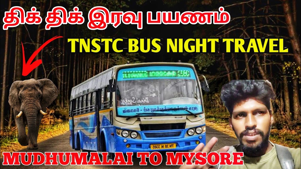 வனவிலங்குகள் நிறைந்த வனப்பகுதி   Mudumalai & Bandipur Thrill Midnight Bus journey