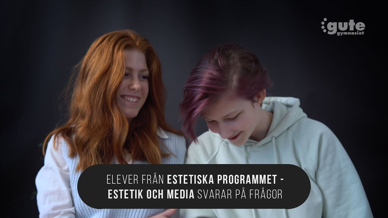 Elever från Estetiska programmet - inriktningen Estetik & media svarar på frågor