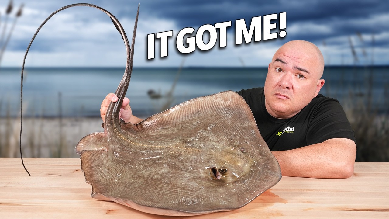 I Got Stung by a Stingray... So I Cooked it 4 ways!