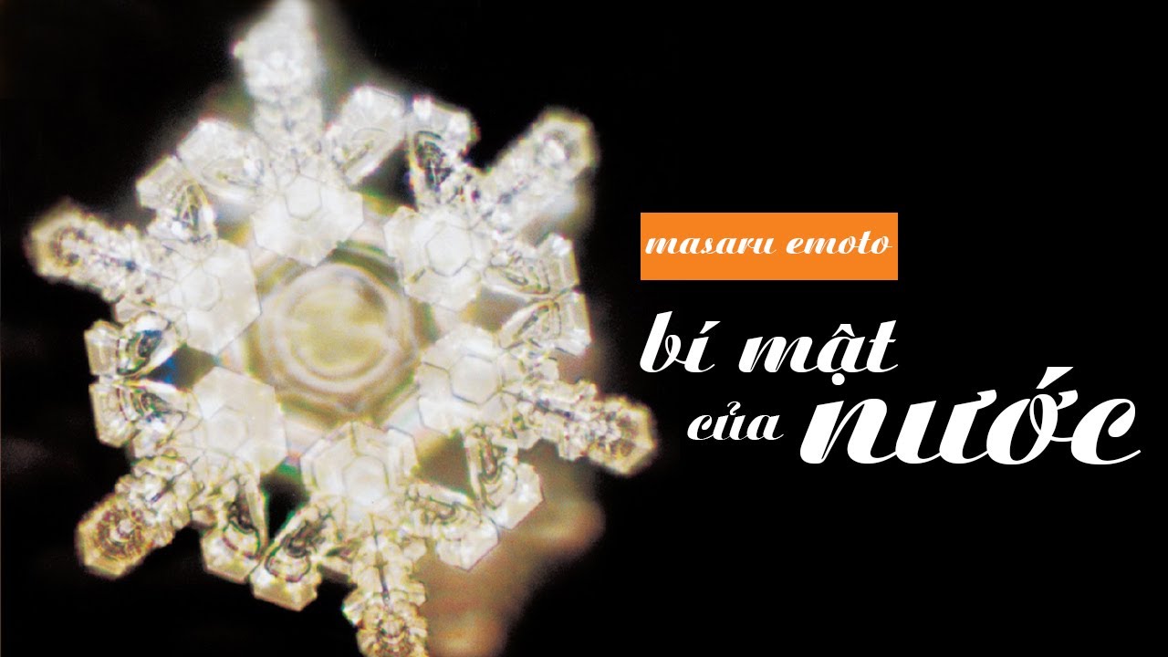 [S&aacute;ch N&oacute;i] B&iacute; Mật Của Nước - Chương 1 | Masaru Emoto