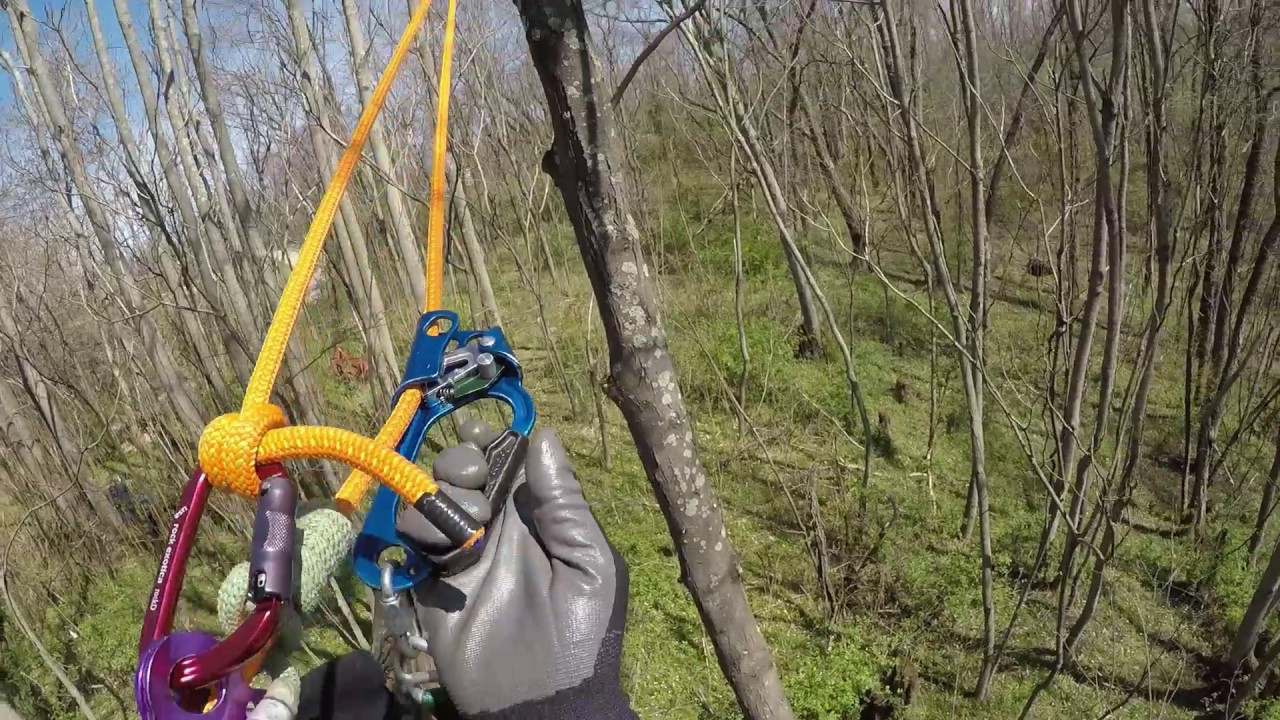 Tree climb & roundtrip traverse
