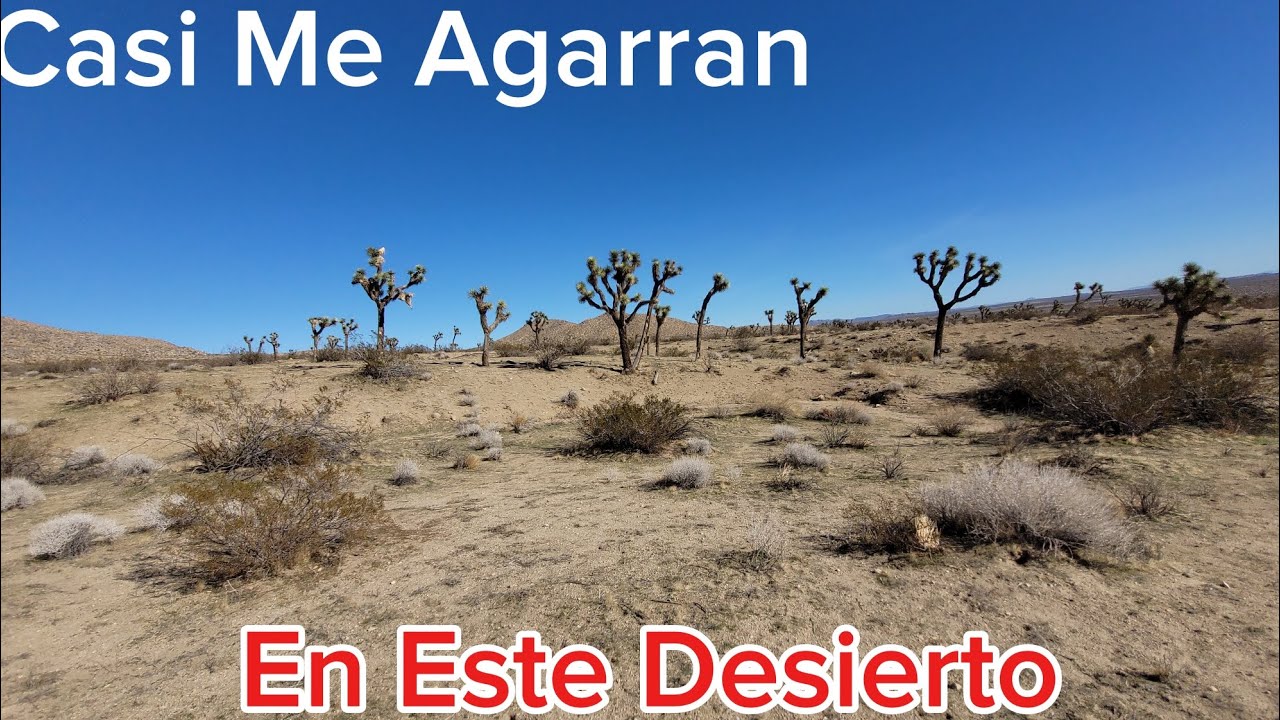 La Vi Muy Serca Casi Me Agarran Me Les Escond&iacute;  