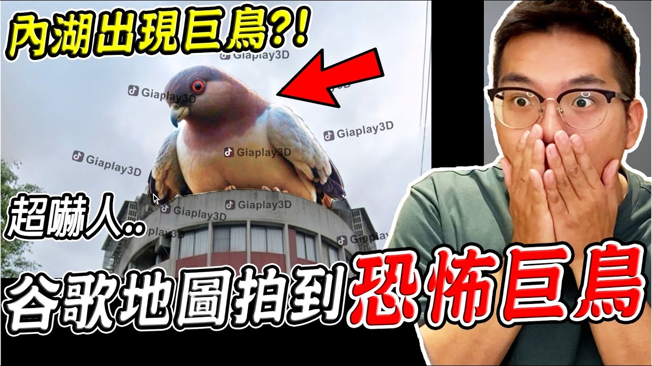 三個Google地圖真實拍到的恐怖詭異畫面 內湖竟拍到恐怖巨鳥？！(地圖真的有) 第21集【希露弟弟啃雞腿】