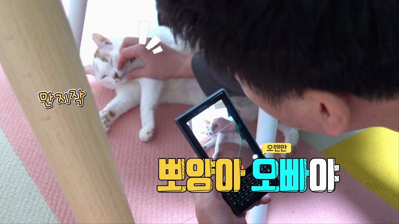 뽀양이는 오랜만에 본 오빠를 기억할까요