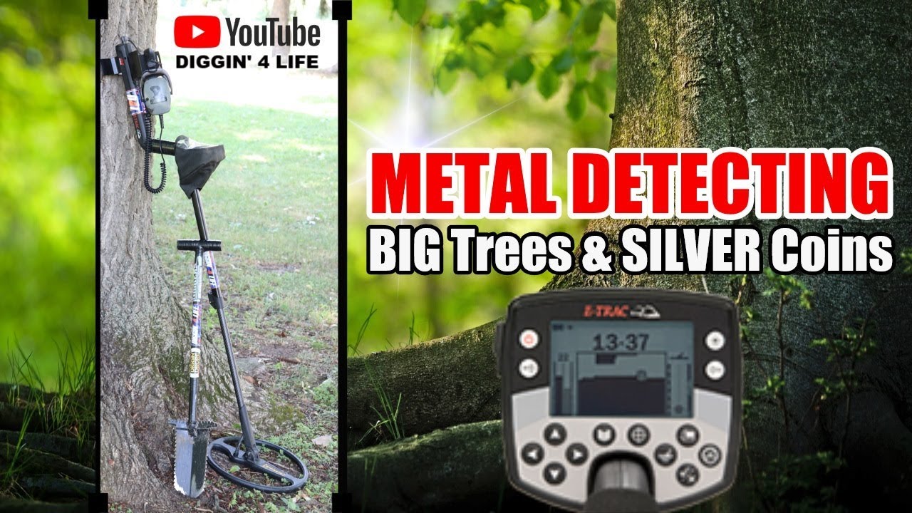 Metal Detecting Around Big Trees For Old Silver Coins