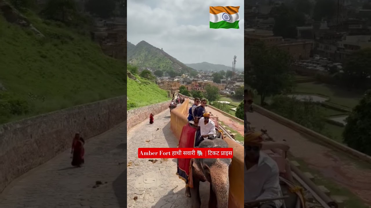 Amer Fort Elephant Ride 🐘 | Cost ₹1100 per Person | Jaipur #shorts #jaipur