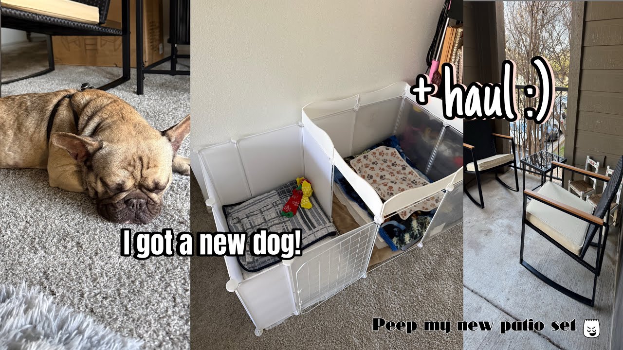 Just a girl in her 20s : new dog, haul, putting patio set together, etc.     |Destiny wright