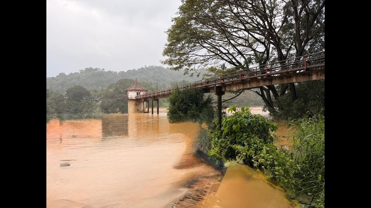 වැසි සමයේ😮 #නරේන්ද්‍රසිංහ රජුගේ #මාලිගාව සොයා  #Udamaluw #Kundsale  #King_Narendrasinghe #pallekele
