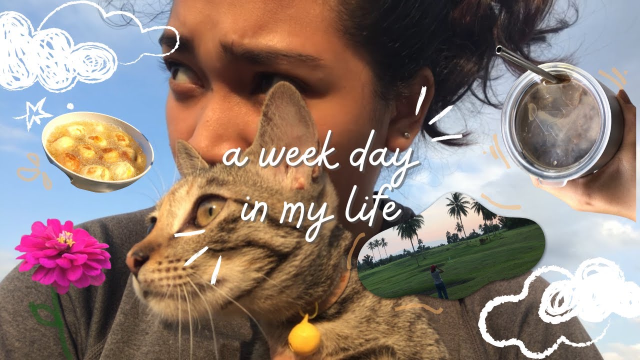 homebody diaries | a week day of my life | meal prep | birthday photo shot | ice coffee, etc.