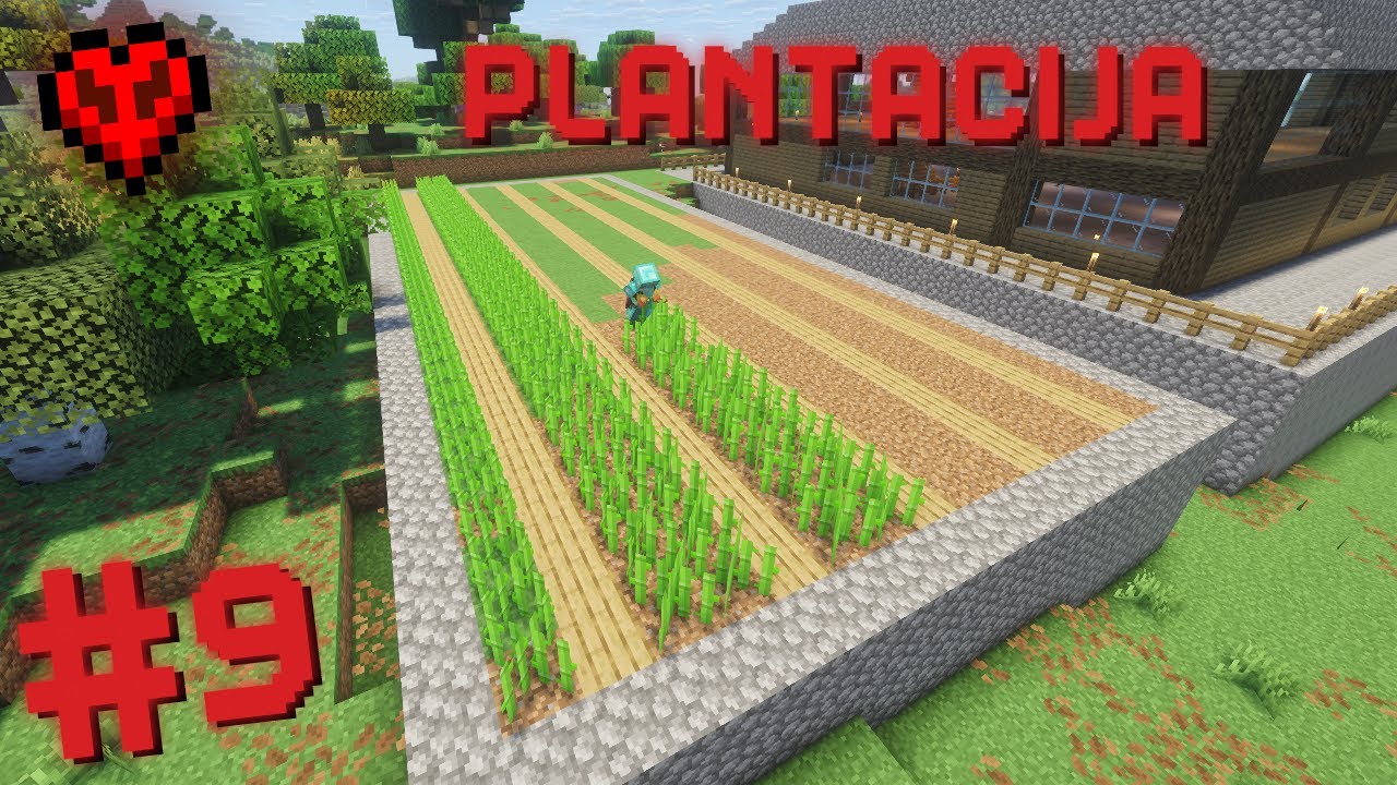 Lietuviškasis HardCore #9 – PLANTACIJA