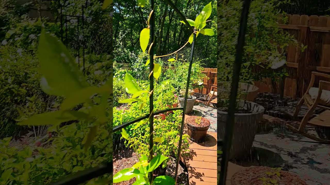 The Challenges of Garden Irrigation with Alkaline, Iron-rich Well Water