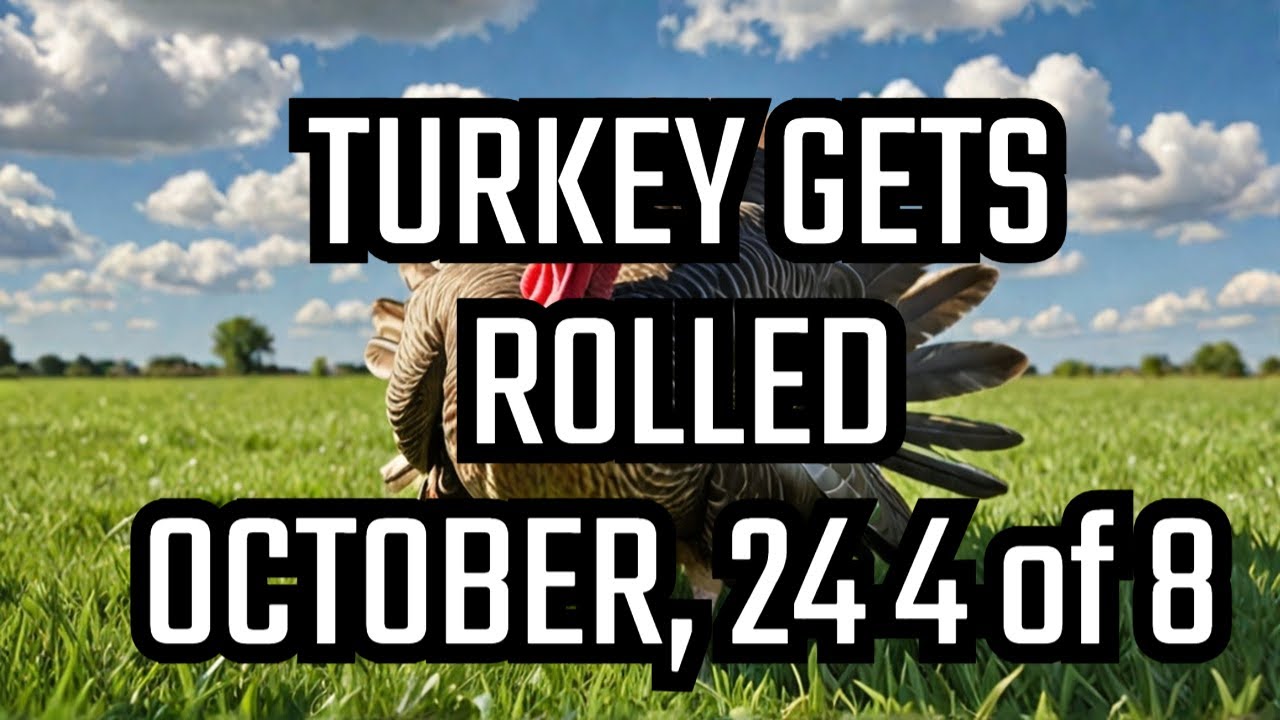 Field-day October 2024, part 4 of 8. Grazing Hacks and Innovations  A turkey gets rolled