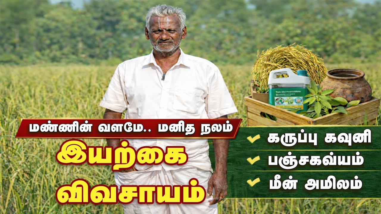 🌱 ரசாயனம் இல்லாத விவசாயம் – கருப்பு கவுனி முதல் சிவன் சம்பா வரை | Paddy Cultivation | Malarum Bhoomi