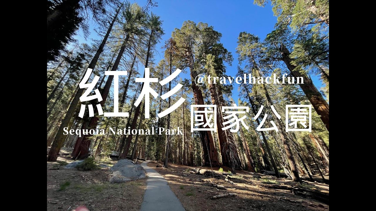 紅杉國家公園 Sequoia National Park 一日遊行程