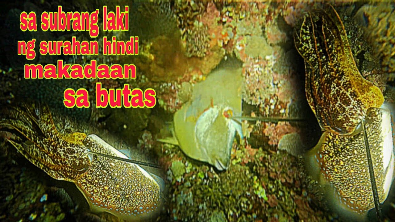 ep278.sa subrang laki ng surahan hirap makadaan sa butas.