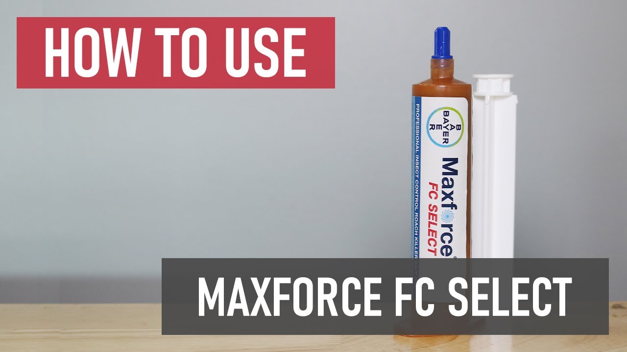 How to Use Maxforce FC Select Roach Killer Gel Bait