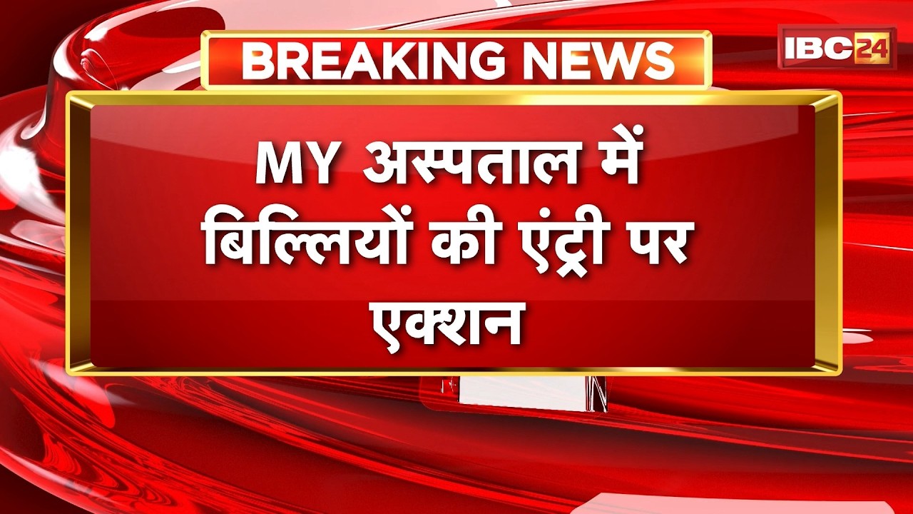 Indore News: Action taken on entry of cats in MY Hospital | Notice to hospital superintendent | M...